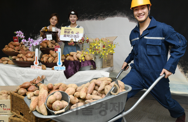 24일 서울 중구 한국인의집에서 ㈜식탁이있는삶의 퍼밀(Permeal) 모델들이 '동굴 속 호박고구마'를 소개하고 있다. 땅속과 비슷한 온도와 습도가 유지된 경북 영덕의 산속 동굴에서 100일간 숙성한 해당 고구마는 일반 숙성 고구마보다 수분 증발량이 적어 촉촉하고 부드러운 식감을 자랑한다./오승현기자 2020.03.24