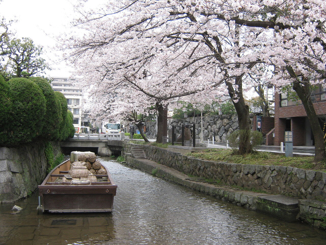 1862년 여름 시마다 사콘이 살해됐던 교토 기야마치의 다카세천. 현재는 벚꽃 아래 강물이 예쁘게 흐르는 관광 명소다./사진출처=위키피디아