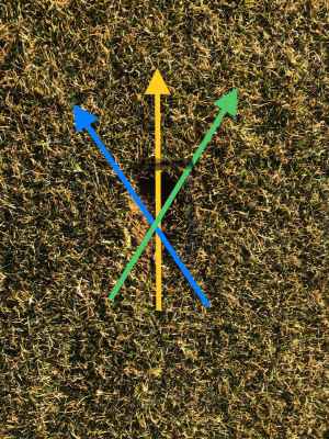 디보트 마크가 나 있는 방향은 스윙의 궤도를 보여준다. 사진 위쪽이 타깃 방향임.