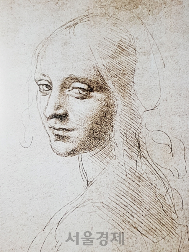 레오나르도 다빈치의 ‘소녀 두상을 위한 습작’. 이탈리아 토리노 왕립도서관 소장. /사진제공=마로니에북스
