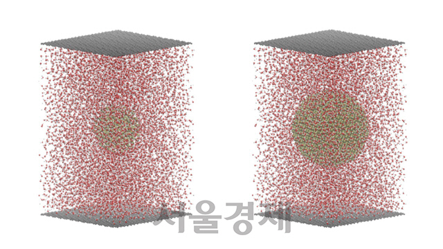 삼성이 후원한 IBS 연구진, 나노입자 3차원 분석 기술 개발