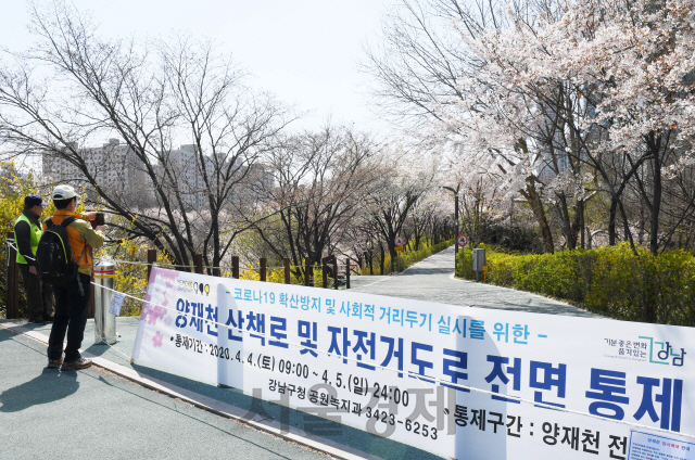 주말인 5일 벚꽃이 만개한 서울 강남구 양재천 산책로가 임시폐쇄돼 있다. 강남구는 이날 자정까지 신종 코로나바이러스 감염증(코로나19) 확산 방지 차원에서 ‘사회적 거리두기’를 위해 양재천 전 구간을 전면 통제했다. /권욱 기자
