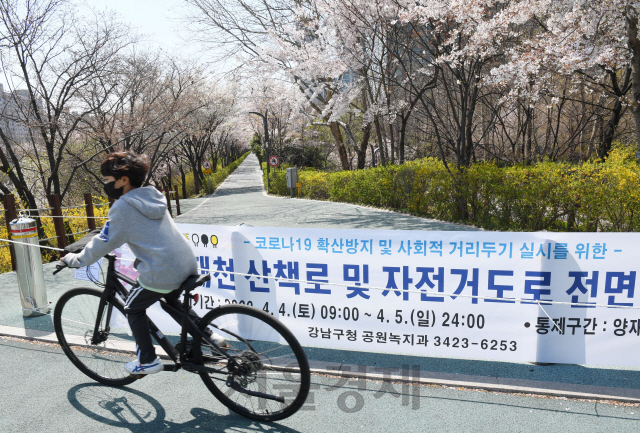 주말인 5일 벚꽃이 만개한 서울 강남구 양재천 산책로가 임시폐쇄돼 있다. 강남구는 이날 자정까지 신종 코로나바이러스 감염증(코로나19) 확산 방지를 위한 '사회적 거리두기'를 위해 양재천 전 구간을 전면통제했다./권욱기자 2020.4.5