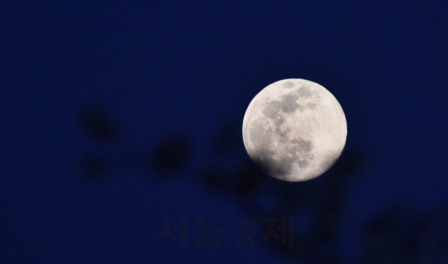 봄 하늘에 걸린 '핑크 슈퍼문'