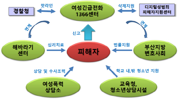 아동·청소년 디지털성범죄 피해 발생시 지원체계./사진제공=부산시