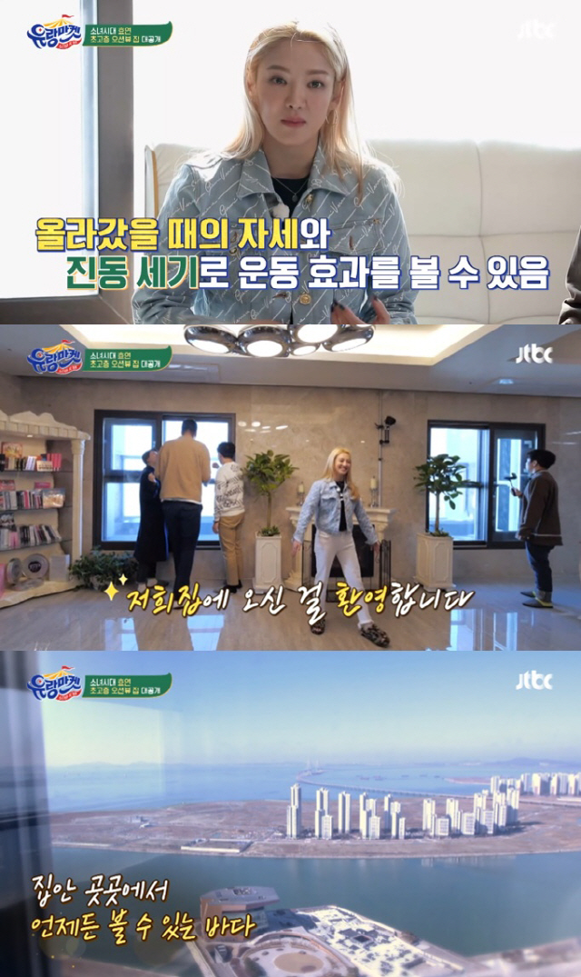 지난달 1일 효연이 JTBC ‘스타와 직거래-유랑마켓’을 통해 공개한 펜트하우스 / 사진=JTBC 방송화면 캡처