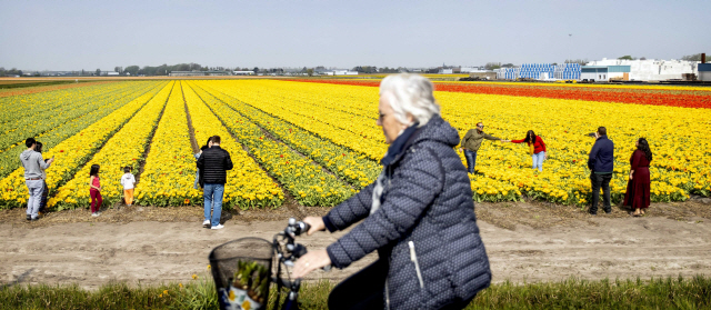 12일(현지시간) 네덜란드에서 주민들이 꽃을 관람하고 있다./리스=EPA연합뉴스