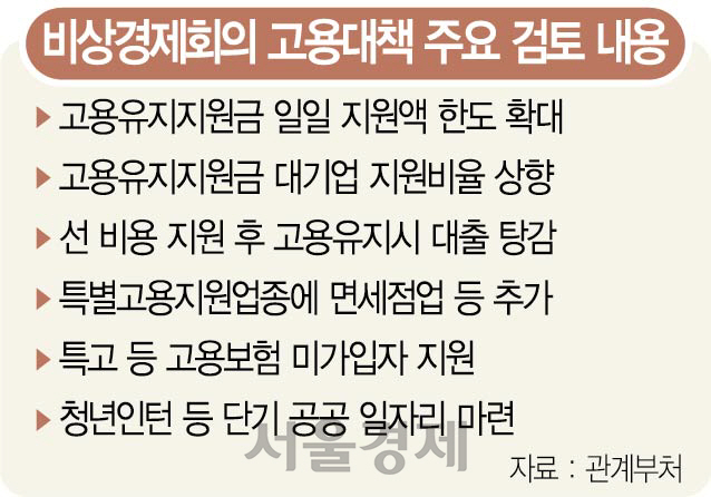 비상경제회의 고용대책 주요 검토 내용