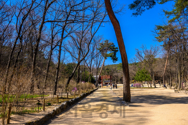 영화 ‘건축학개론’의 배경이 된 정릉.