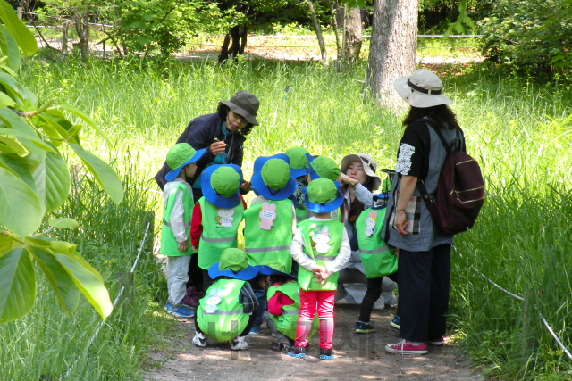 유아들을 대상으로 한 숲체험 교실이 열리고 있다. 사진제공=국립산림과학원