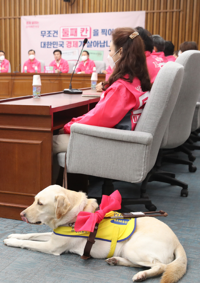 13일 오전 서울 여의도 국회에서 열린 미래한국당 선거대책위원회 회의에서  김예지 비례대표 후보의 안내견이 핑크 리본을 달고 있다./연합뉴스