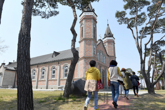 충남 당진 합덕성당을 단체로 방문한 성지 순례객들이 성당 옆 소나무 길을 걸어가고 있다.