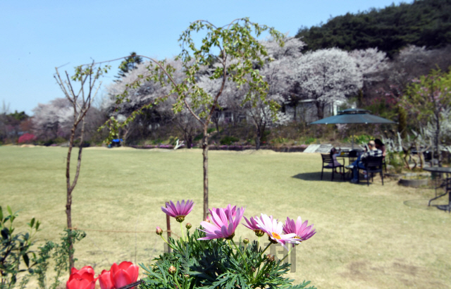 충남 당진시 순성면에 위치한 아미미술관. 폐교된 초등학교 운동장에 깔린 잔디를 한 나들이객이 바라보고 있다.