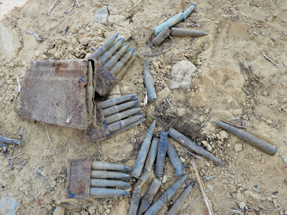 강원도 철원의 DMZ 화살머리고지 일대에서 6·25전쟁 전사자 유해발굴 작업 중 발견된 M1탄창과 M1탄약.   /사진제공=국방부