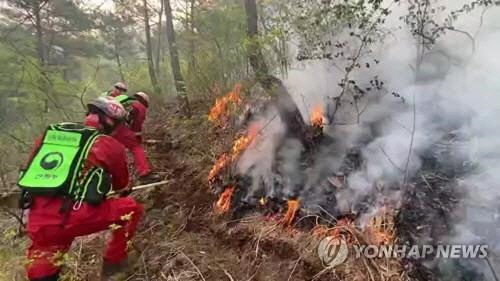 산불 진화 작업 중인 공무원들/산림청제공=연합뉴스