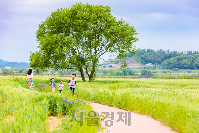 함안 강나루 생태공원. /사진제공=경남도