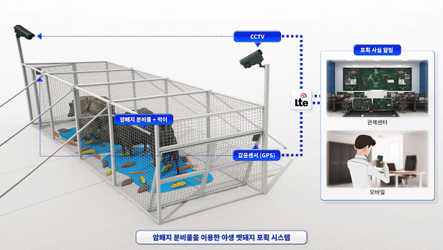 ETRI가 개발한 야생멧돼지 유인포획 시스템의 모습. 암퇘지 분비물에 이끌린 멧돼지가 포획장으로 들어오면 포획장에 설치된 GPS기반 감음센서의 위치정보와 CCTV영상 자료가 통신망을 타고 관제센터 및 관리자의 스마트폰으로 전송된다. /자료제공=ETRI