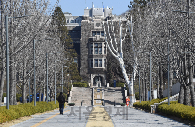 코로나19로 한산한 연세대 백양로. /연합뉴스