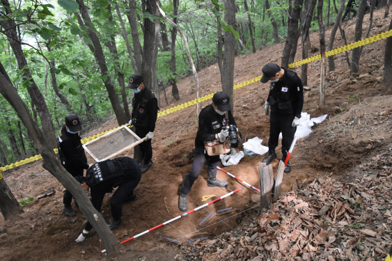 지난해 6월 국방부 유해발굴감식단이 강원도 춘천 봉화산에서 유해발굴 작업을 하고 있다.   /사진제공=국유단