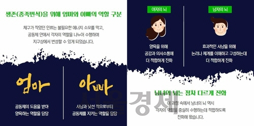 “엄마는 양육, 아빠는 사냥…남녀 뇌 다르게 진화” 교육부의 성차별적 카드뉴스