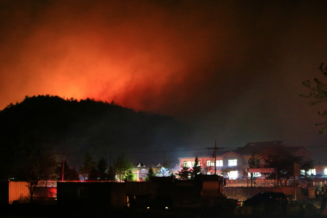 (속보) “고성산불로 육군 22사단 장병 1,800명 고성체육관 대피 중”