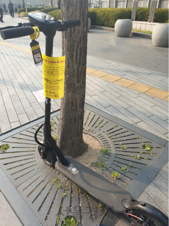 지난 26일 서울 종로구에서 한 공유 킥보드에 ‘강제정비 예고통지서’가 부착 돼있다./허진 기자