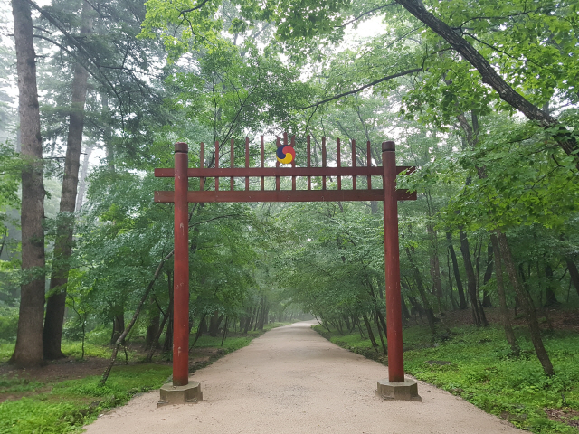 세조와 정희왕후 윤씨의 무덤인 광릉 숲길.