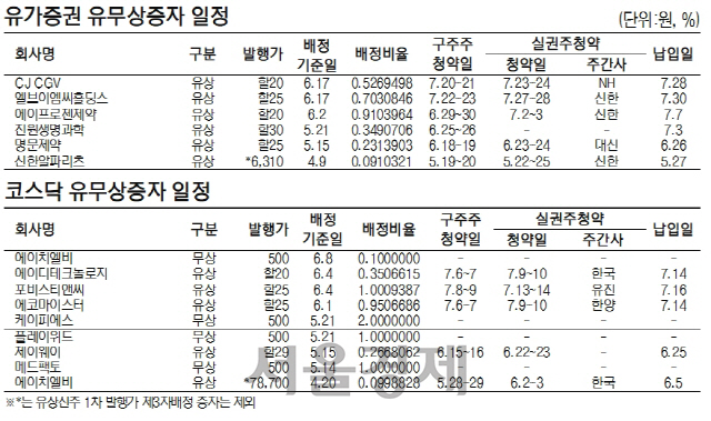 유무상증자일정