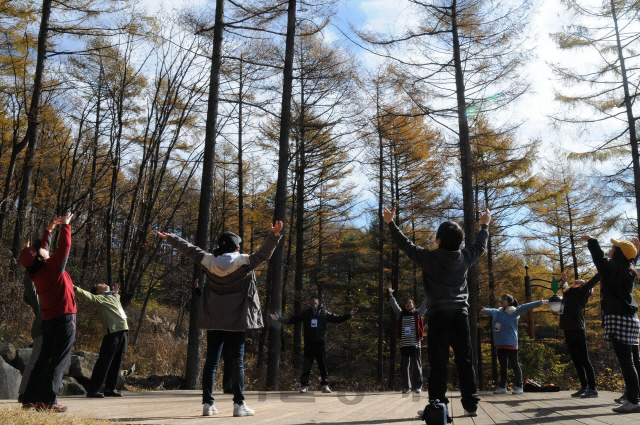 산림치유 프로그램 참가자들이 숲속에서 치유프로그램을 체험하고 있다. 사진제공=산림청