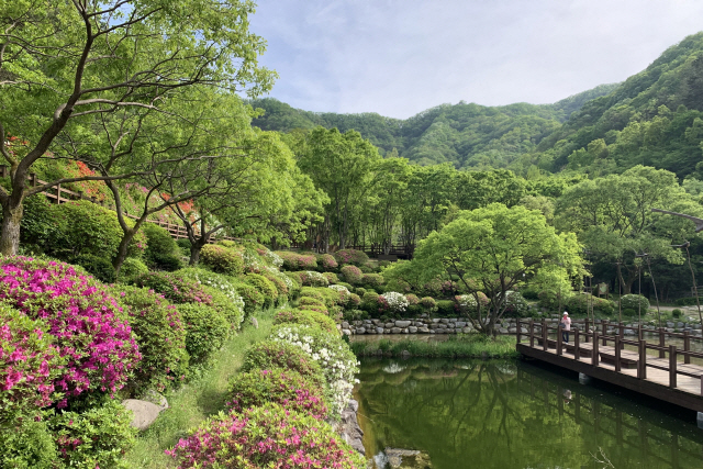 [休-완주]산들산들 야생화·아름드리 소나무…봄 내음 한가득
