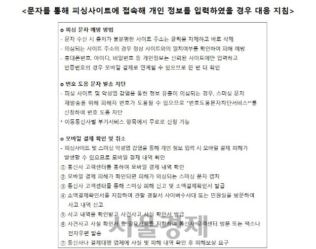 한국인터넷진흥원의 피싱 사이트 관련 대응지침/사진제공=한국인터넷진흥원