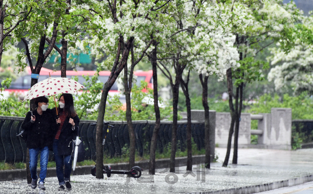 전국에 비가 내린 15일 오전 우산을 쓴 시민들이 이팝나무 꽃이 핀 서울 청계천을 걷고 있다./오승현기자 2020.05.15