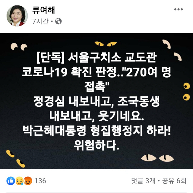 /류여해 페이스북 캡쳐