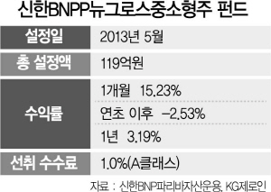 1615A19 신한BNPP뉴그로스중소형주 펀드