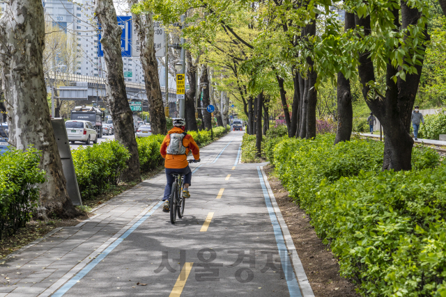 서울 노원구 월계동 녹천중학교에서 구리시 담터마을까지 6.3km 구간에 조성된 자전거도로 경춘선숲길.