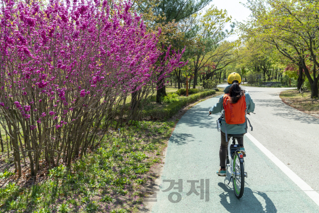 자전거 타기에는 지금이 적기…서울 시내 자전거 명소