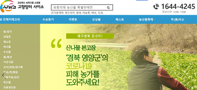 경북 '농산물 온라인 판매' 위력 대단하네