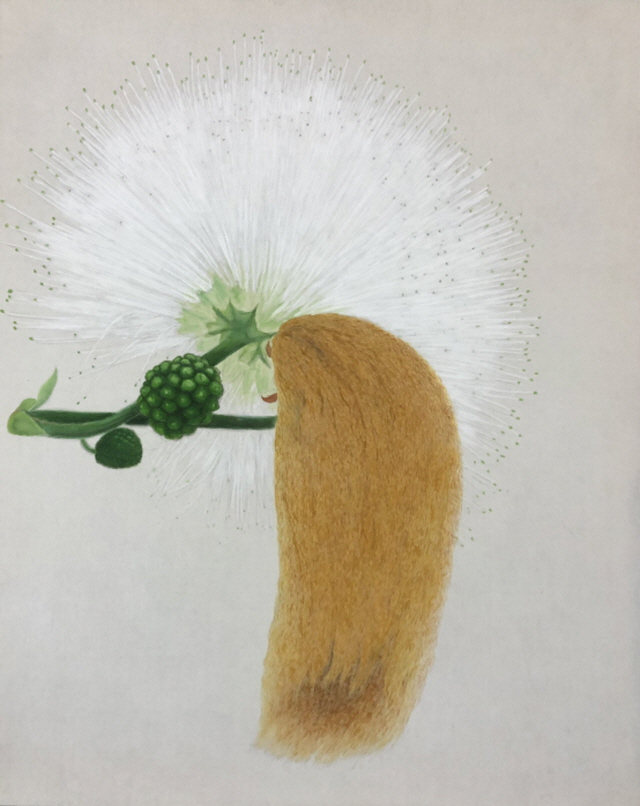 김보희 작가는 흰자귀나무 꽃을 그린 후 ‘자화상’이라는 제목을 붙였다. /사진제공=금호미술관