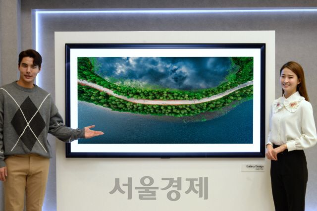 LG전자 OLED TV.