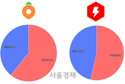 폭풍성장 ‘당근마켓’ 3040 주부의 힘 통했다