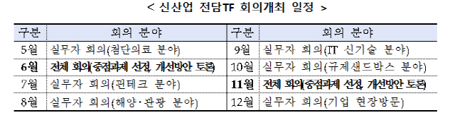 신산업 규제혁신 전담TF 회의 개최 일정./사진제공=부산시