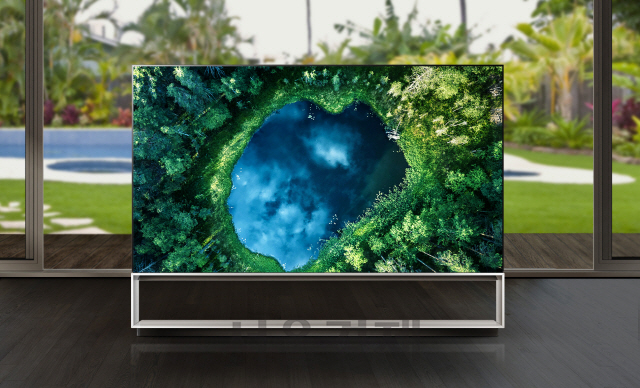 LG전자 OLED TV.