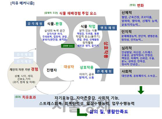 식물을 활용한 치유농업의 치유 메커니즘