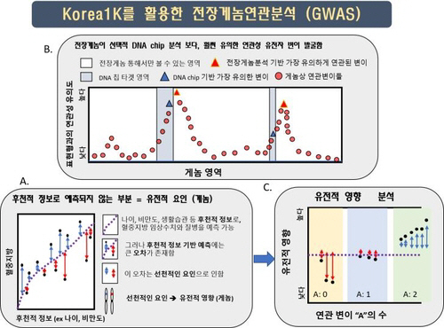 한국인 1,000명 게놈빅데이터 공개...암 예측 등 활용기대