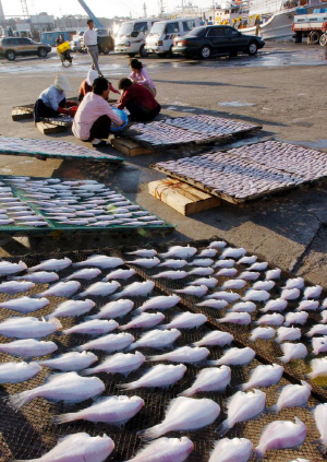 울산지역 어업 10년 사이 30% 줄어...가자미·문어 늘고, 대게 줄어