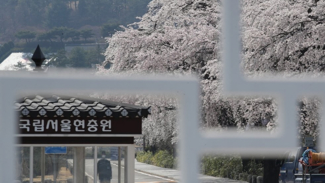 서울현충원, 코로나19 확산에 6월 한시적 입장제한
