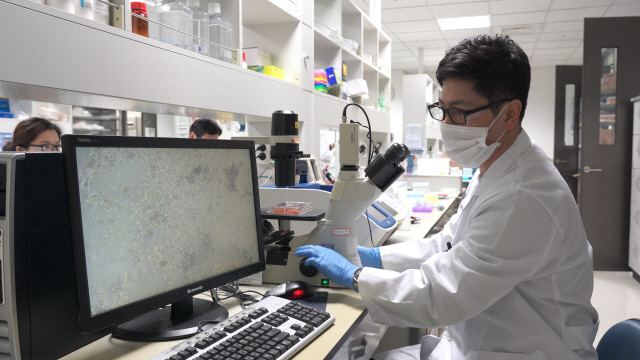 셀트리온 연구원이 코로나 19 항체 치료제 개발을 위한 실험을 진행하고 있다./사진제공=셀트리온