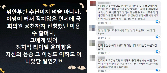 ‘더불어민주당 100만 당원 모임’에 올라온 이용수 할머니를 비난하는 글과 댓글. /페이스북 캡처