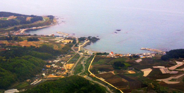 울산시는 북구 어물해역에 5ha의 해중림을 조성한다. 사진은 2003년 북구 어물동 일대. /사진제공=울산시