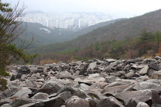 부산 해운대구는 장산을 체계적으로 보전하고 이용체계를 개선하기 위해 ‘장산 구립공원’ 지정을 추진한다. 장산 너덜겅./사진제공=해운대구